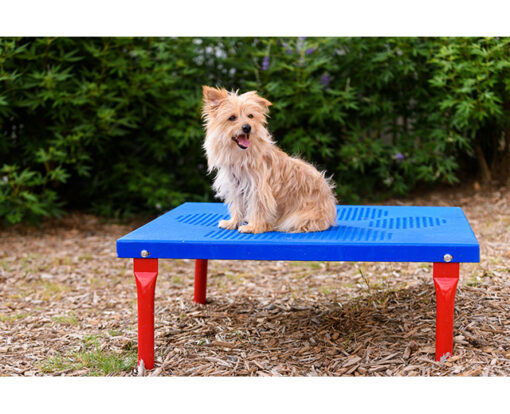 Paws Grooming Table - Image 2